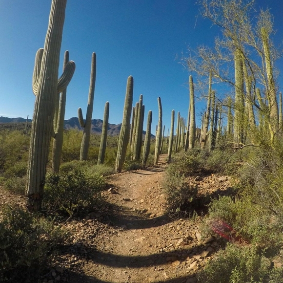 Welcome to my Closet!! - Picture 5 of 5